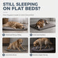 🐶 50% OFF! ✨ Orthopedic Pet Bed Mat – Ultra-Soft Plush Fabric, High-Rebound PP Cotton & Reinforced Stitching – Breathable Skin-Friendly Support for Large Breeds, Portable for Any Space 🛏️