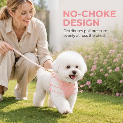 🐕 50% OFF! ✨ Vest Style Dog Harness & Leash Set – Premium Corduroy Vest with Breathable Mesh, Secure Escape-Proof Alloy Rings & Heavy-Duty Buckles – Matching 5-Piece Set for Small & Medium Dogs 🦺