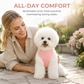 🐕 50% OFF! ✨ Vest Style Dog Harness & Leash Set – Premium Corduroy Vest with Breathable Mesh, Secure Escape-Proof Alloy Rings & Heavy-Duty Buckles – Matching 5-Piece Set for Small & Medium Dogs 🦺