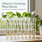 🌸✨ PROMO FLASH : 50% DE RÉDUCTION ! Vase à Tubes à Essai en Verre Borosilicate avec Charnières Flexibles – Modulable et Transparent, Brosse de Nettoyage Incluse for une Déco Végétale Créative et Épurée ✨