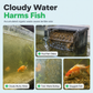 🐠 50% OFF! ✨ Eco-Aquarium Honeycomb Activated Carbon Filter Cube – Rapid Micro-Filtration Adsorbs Discoloration Odors, Dual-Action Sponge & Coal Matrix, Anti-Crumble Solid Block & 100% Aquatic Life Safe – 3.94" Drop-In Placement 💧