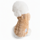 🐾 50% OFF! ✨ Soft Warm Fleece Pet Vest Harness Coat with Leash D-Ring – 2-in-1 Thermal Coat & Harness, Cloud-Like Dual-Sided Coral Fleece, Reinforced Back D-Rings & Snap Fastener Closure – XS-XL 6 Colors ❄️